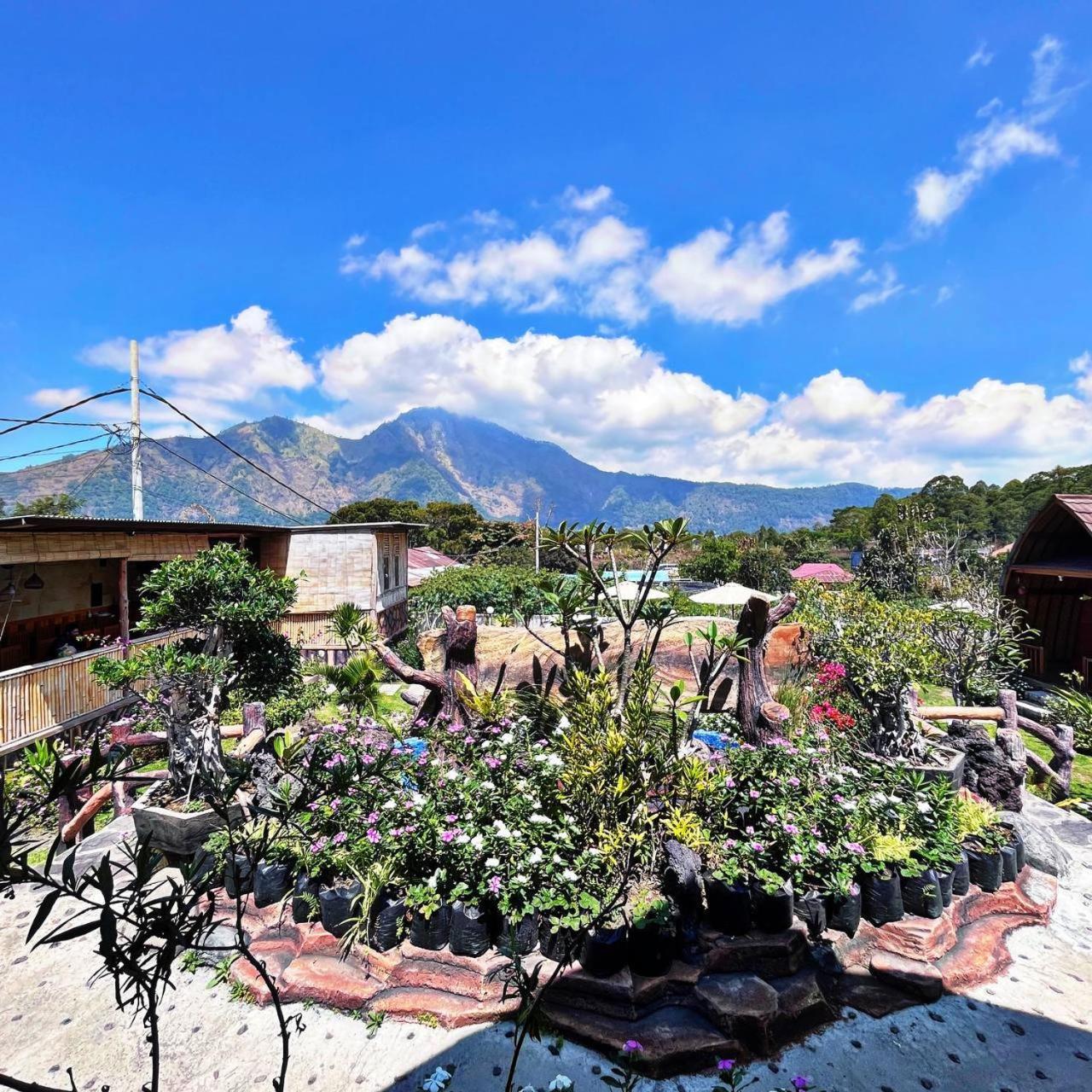 Manik Tirta Cabin'S Kintamani  Luaran gambar